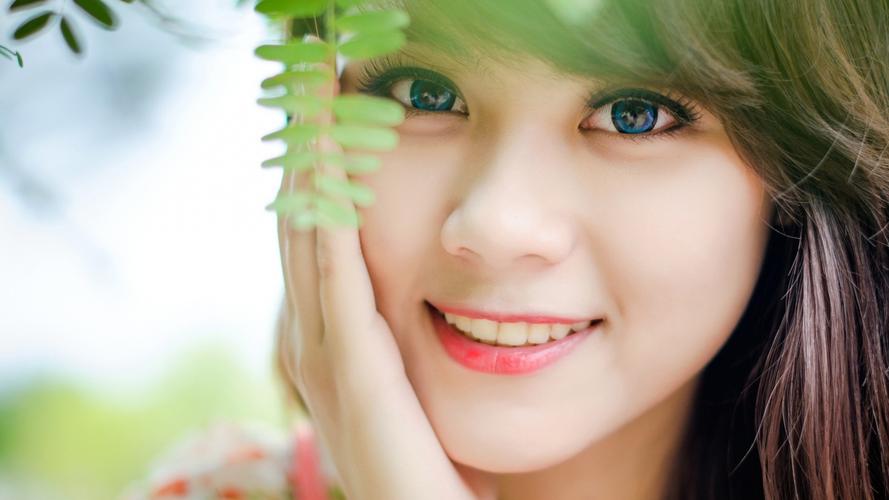 “智慧口岸+标准共建”重塑中越跨境物流格局